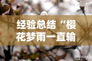 经验总结“樱花梦雨一直输怎么办”其实确实有挂