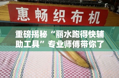 重磅揭秘“丽水跑得快辅助工具”专业师傅带你了解
