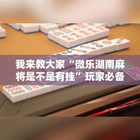 我来教大家“微乐湖南麻将是不是有挂”玩家必备神器