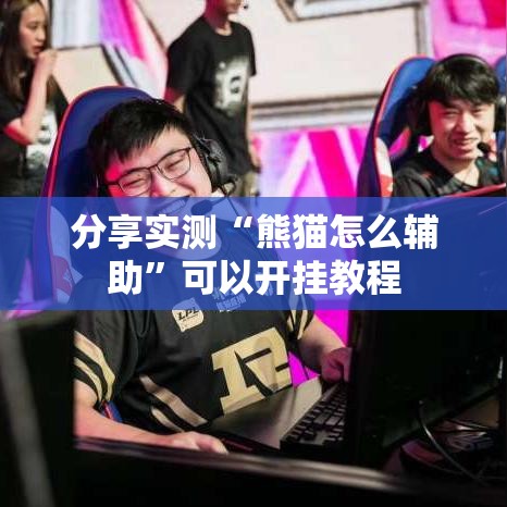 分享实测“熊猫怎么辅助”可以开挂教程