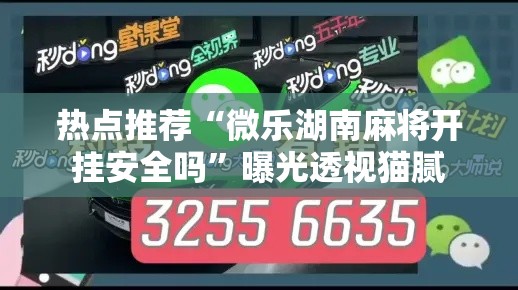 热点推荐“微乐湖南麻将开挂安全吗”曝光透视猫腻