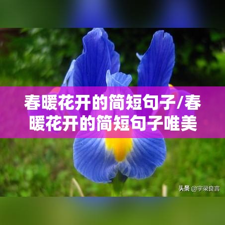 春暖花开的简短句子/春暖花开的简短句子唯美 春暖花开的简短句子/春暖花开的简短句子唯美