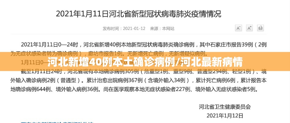 河北新增40例本土确诊病例/河北最新病情
