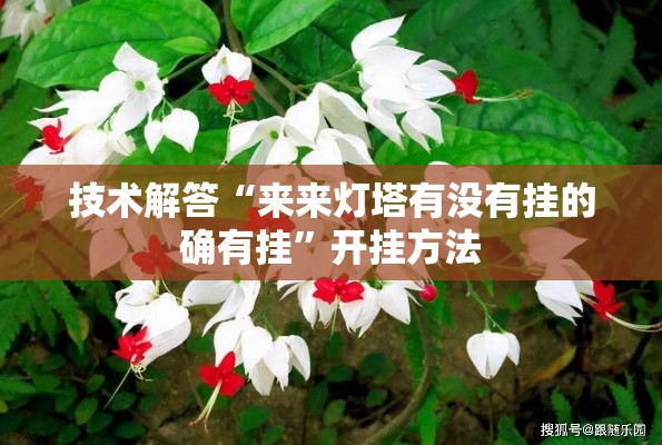 技术解答“来来灯塔有没有挂的确有挂”开挂方法