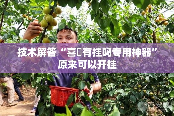 技术解答“喜園有挂吗专用神器”原来可以开挂