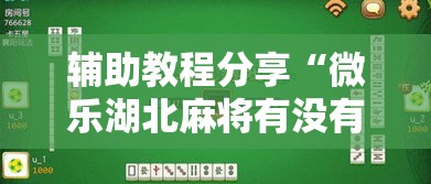辅助教程分享“微乐湖北麻将有没有透视”分享详细开挂教程