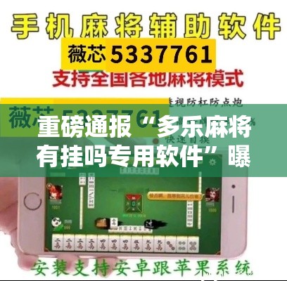 重磅通报“多乐麻将有挂吗专用软件”曝光透视猫腻