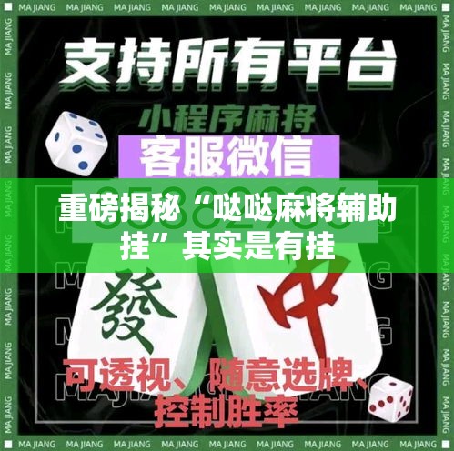 重磅揭秘“哒哒麻将辅助挂”其实是有挂