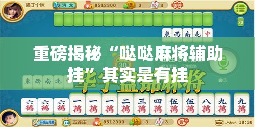 重磅揭秘“哒哒麻将辅助挂	”其实是有挂