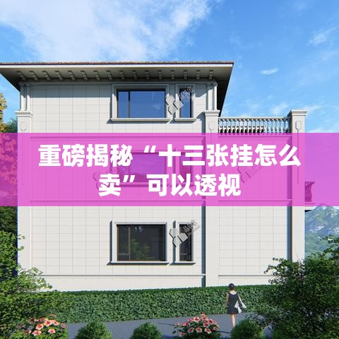 重磅揭秘“十三张挂怎么卖	”可以透视