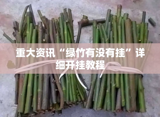 重大资讯“绿竹有没有挂”详细开挂教程