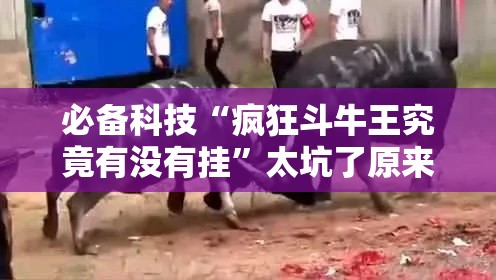 必备科技“疯狂斗牛王究竟有没有挂”太坑了原来有挂