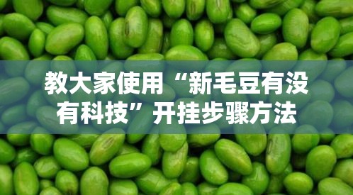 教大家使用“新毛豆有没有科技”开挂步骤方法