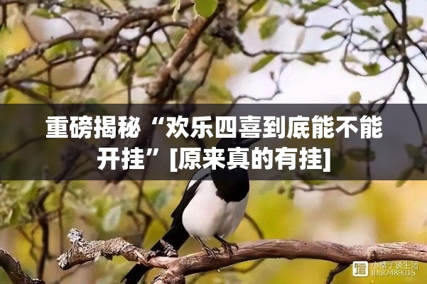 重磅揭秘“欢乐四喜到底能不能开挂”[原来真的有挂]