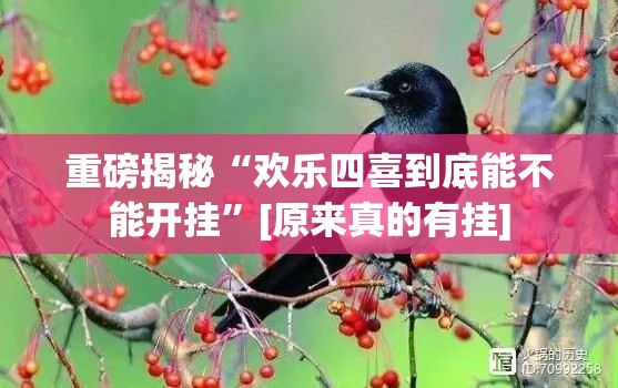 重磅揭秘“欢乐四喜到底能不能开挂”[原来真的有挂]