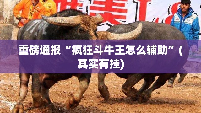 重磅通报“疯狂斗牛王怎么辅助”(其实有挂)