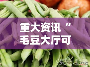 重大资讯“毛豆大厅可以开挂吗”详细开挂步骤