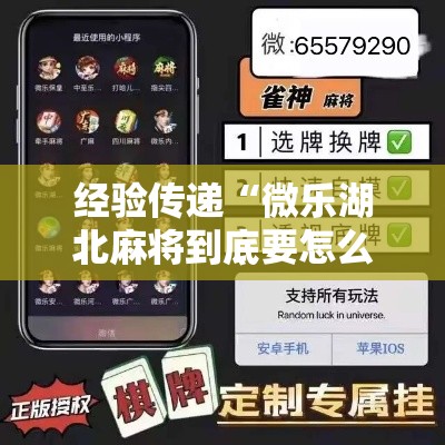 经验传递“微乐湖北麻将到底要怎么用挂”开挂作弊