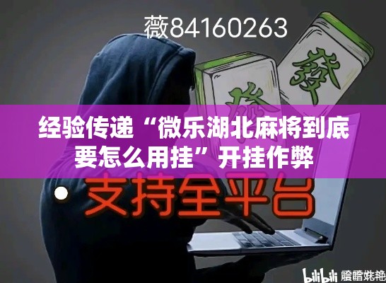 经验传递“微乐湖北麻将到底要怎么用挂”开挂作弊