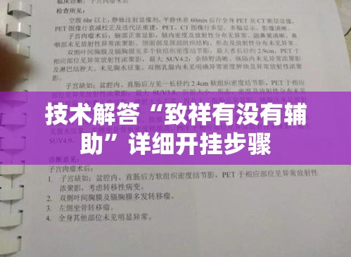 技术解答“致祥有没有辅助”详细开挂步骤