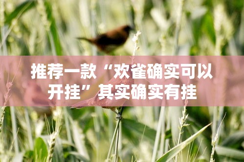 推荐一款“欢雀确实可以开挂”其实确实有挂