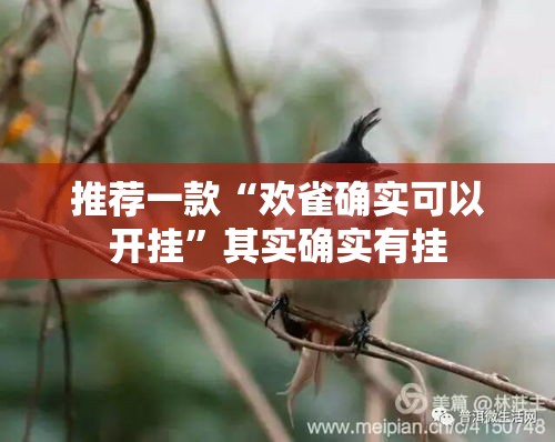 推荐一款“欢雀确实可以开挂”其实确实有挂