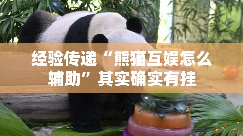 经验传递“熊猫互娱怎么辅助”其实确实有挂
