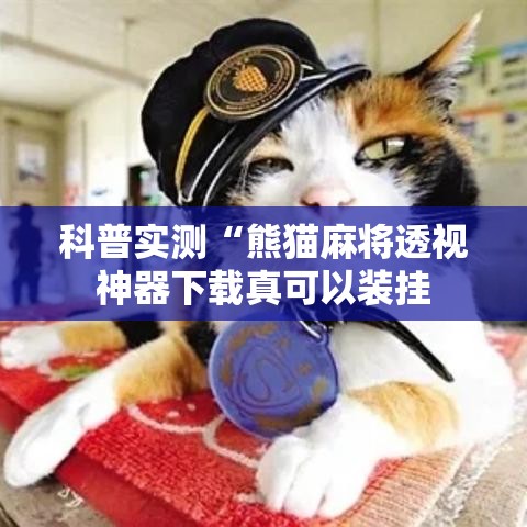 科普实测“熊猫麻将透视神器下载真可以装挂 科普实测“熊猫麻将透视神器下载真可以装挂