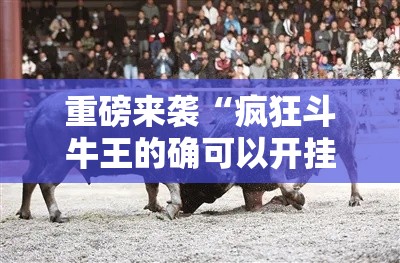 重磅来袭“疯狂斗牛王的确可以开挂	”原来确实有挂