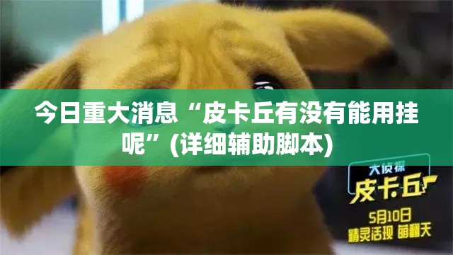 今日重大消息“皮卡丘有没有能用挂呢”(详细辅助脚本)