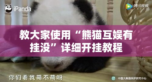 教大家使用“熊猫互娱有挂没”详细开挂教程