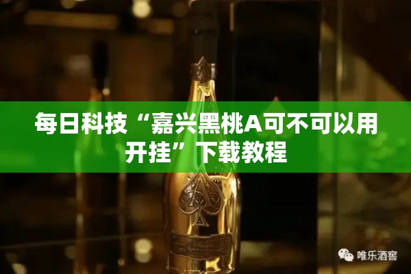 每日科技“嘉兴黑桃A可不可以用开挂”下载教程