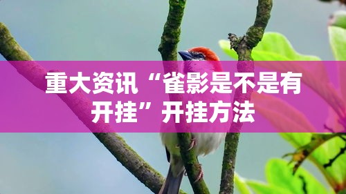 重大资讯“雀影是不是有开挂	”开挂方法