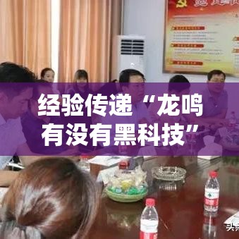 经验传递“龙鸣有没有黑科技”真的有挂