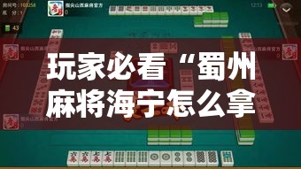 玩家必看“蜀州麻将海宁怎么拿好牌”详细开挂步骤