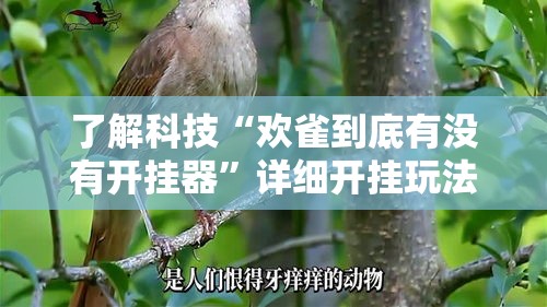 了解科技“欢雀到底有没有开挂器”详细开挂玩法