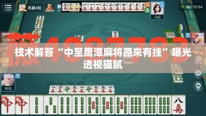 技术解答“中至鹰潭麻将原来有挂”曝光透视猫腻