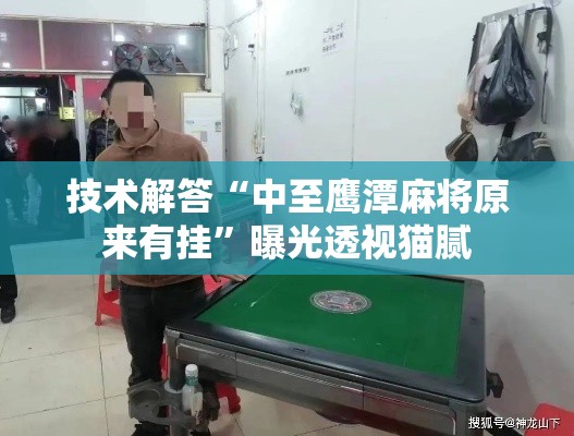 技术解答“中至鹰潭麻将原来有挂”曝光透视猫腻