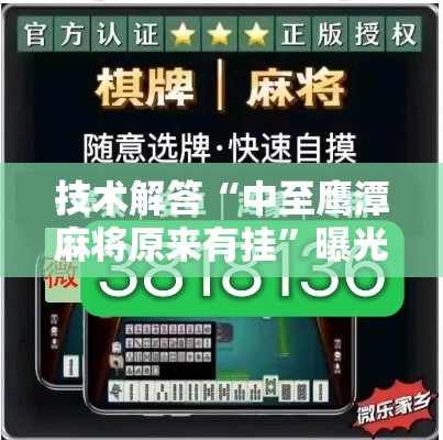 技术解答“中至鹰潭麻将原来有挂	”曝光透视猫腻