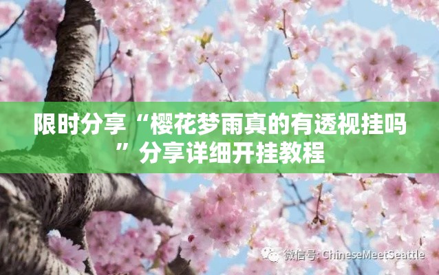 限时分享“樱花梦雨真的有透视挂吗”分享详细开挂教程