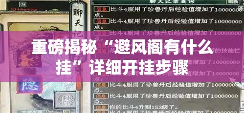 重磅揭秘“避风阁有什么挂	”详细开挂步骤