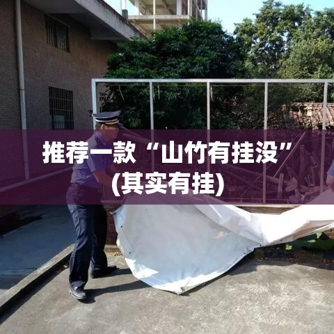 推荐一款“山竹有挂没”(其实有挂)