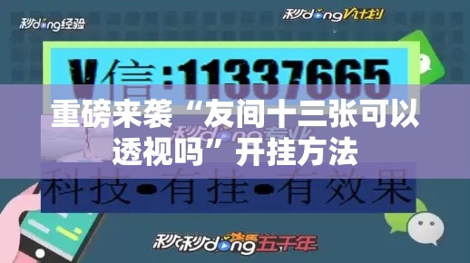 重磅来袭“友间十三张可以透视吗”开挂方法