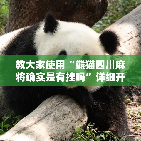 教大家使用“熊猫四川麻将确实是有挂吗”详细开挂教程