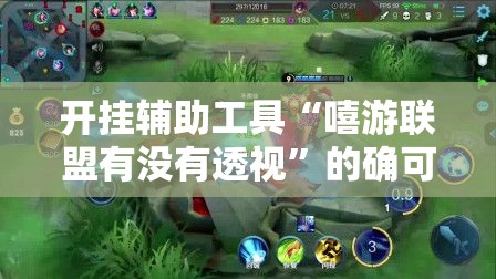开挂辅助工具“嘻游联盟有没有透视”的确可以开挂