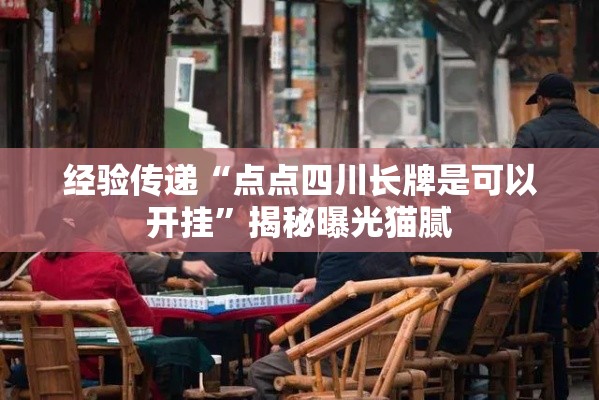 经验传递“点点四川长牌是可以开挂	”揭秘曝光猫腻