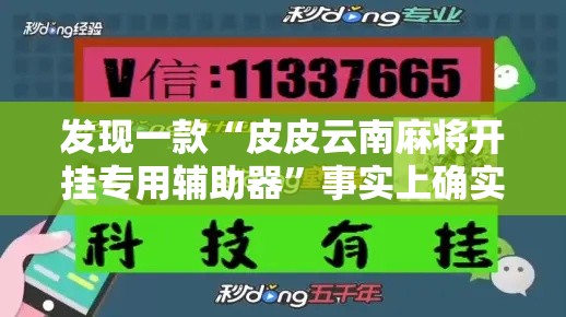 发现一款“皮皮云南麻将开挂专用辅助器	”事实上确实有挂