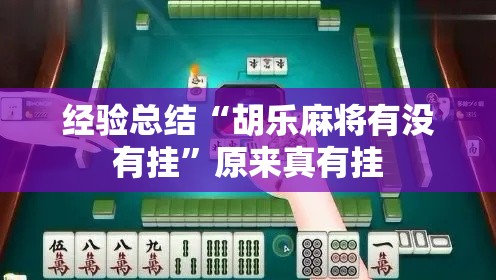 经验总结“胡乐麻将有没有挂”原来真有挂