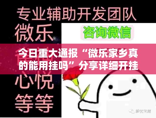 今日重大通报“微乐家乡真的能用挂吗”分享详细开挂教程