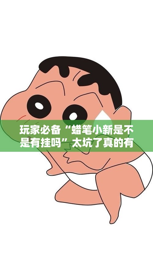 玩家必备“蜡笔小新是不是有挂吗”太坑了真的有挂